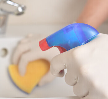 Sanitation Cleanup | Eco Bear